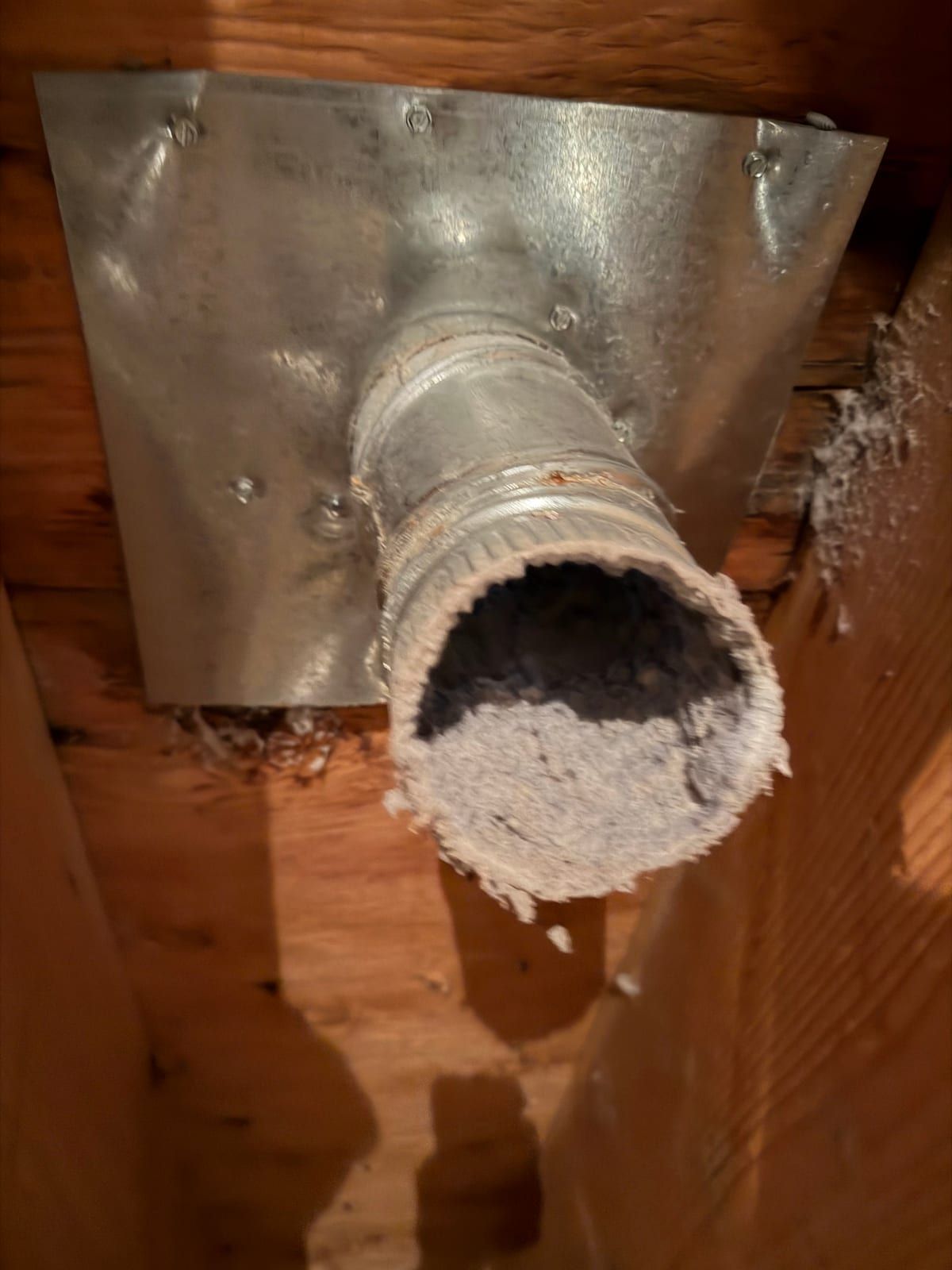 A dryer duct stub packed solid with lint, seen from below a basement ceiling